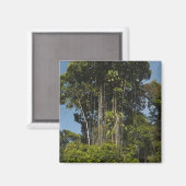 Rewa River Edge Rainforest Guyana Magnet (Vorderseite/Rückseite)