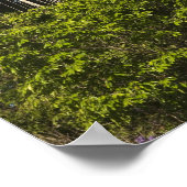 Rewa River Edge Rainforest Guyana Poster (Ecke)