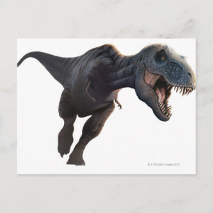 Rex 2 postkarte