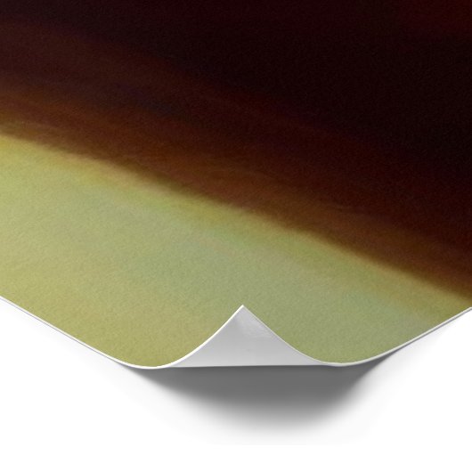 Rex Cat Poster (Ecke)