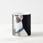 Rex der Fernsehterrier schloss Ihre Kaffeetasse (Mittel)