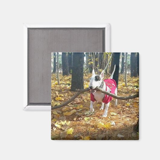 Rex Herbststift des Tages Magnet (Vorderseite/Rückseite)