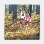 Rex Herbststift des Tages Magnet (Vorne)