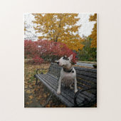Rex im Herbstpuzzle Puzzle (Vertikal)