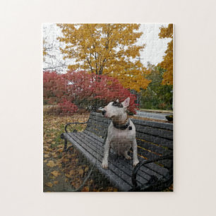 Rex im Herbstpuzzle Puzzle