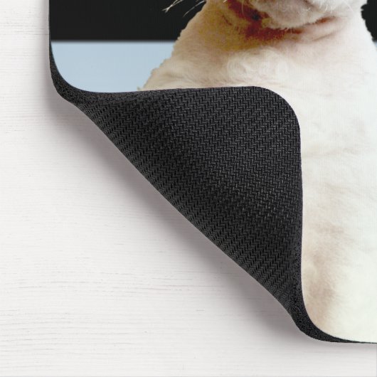 Rex Katzen-blauer/schwarzer Streifen Mousepad (Ecke)