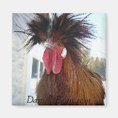 Rex Rooster Magnet (Vorne)