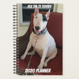 Rex The TV Terrier 2020 Planer