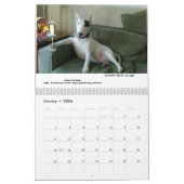 Rex the TV Terrier 2020 Word of.The Month Calendar Kalender (Jan 2026)