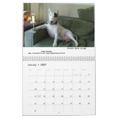 Rex the TV Terrier 2020 Word of.The Month Calendar Kalender (Jan 2027)