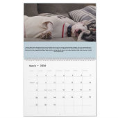 Rex the TV Terrier 2025 Bull Terrier Fakten Calend Kalender (Mär 2026)
