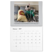 Rex the TV Terrier 2025 Bull Terrier Fakten Calend Kalender (Feb 2027)