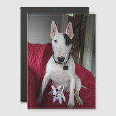 Rex the TV Terrier and Ditto magnet (Vorne/Hinten)