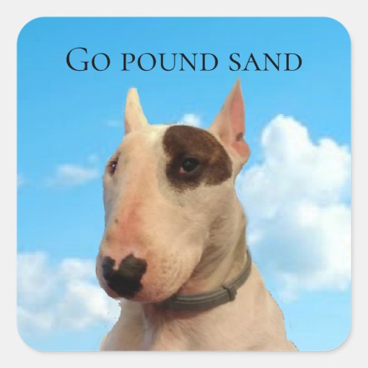 Rex the TV Terrier Go Pound Sand Sticker (Vorderseite)