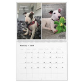 Rex The TV Terrier Inc. Spike 2026 Calendar Kalender (Feb 2026)