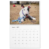Rex The TV Terrier Inc. Spike 2026 Kalender (Mär 2027)