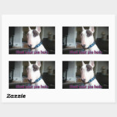 Rex the TV Terrier Shut your Pie hole Aufkleber (Blatt)