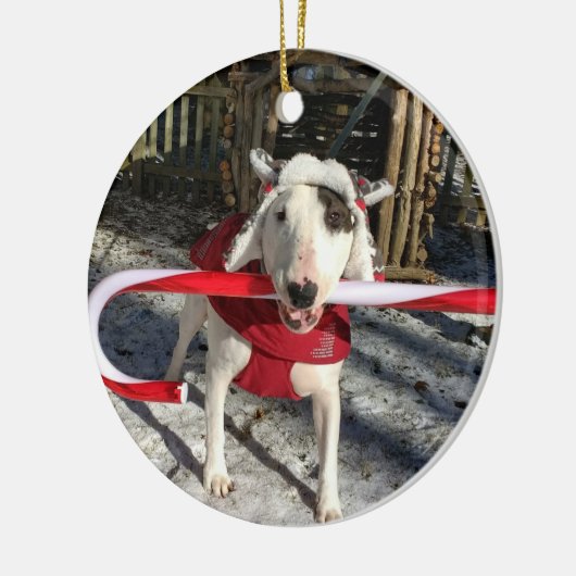 Rex the TV Terrier Weihnachtsschmuck Candy Stock (Links)