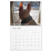 Rex The TV Terrier Word des Monats 2022 Kalender (Jan 2027)