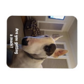 Rex TV Terrier Kühlschrank Magnet (Horizontal)