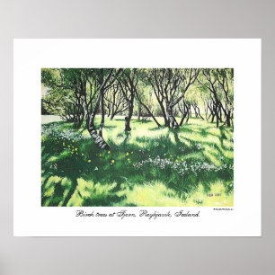 Reykjavik Island Landschaftskunst von Pola.B.Alex Poster