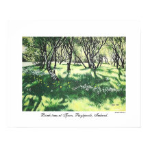 Reykjavik Island Landschaftskunst von Pola.B.Alex