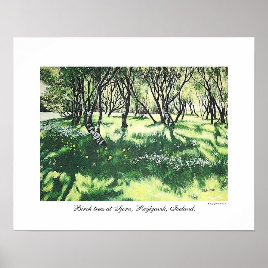 Reykjavik Island Landschaftskunst von Pola.B.Alex Poster (Vorne)