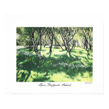 Reykjavik Island Landschaftskunst von Pola.B.Alex