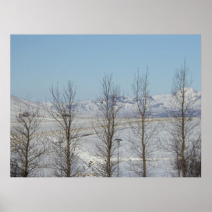 Reykjavik Island Poster