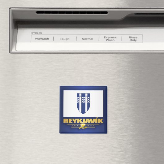 Reykjavik Magnet (In Situ (Geschirrspüler))