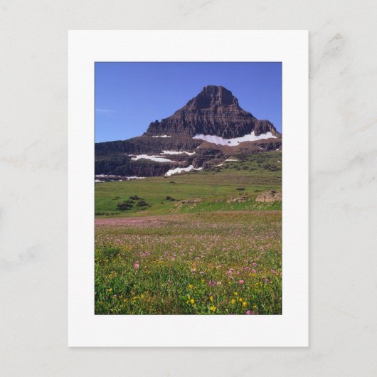 Reynolds Mountain Postkarte (Vorderseite)