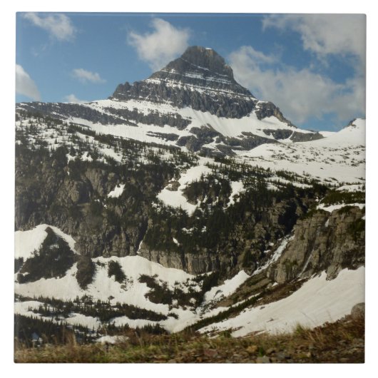 Reynolds Mountain vom Logan Pass beim Glacier Park Fliese (Vorderseite)