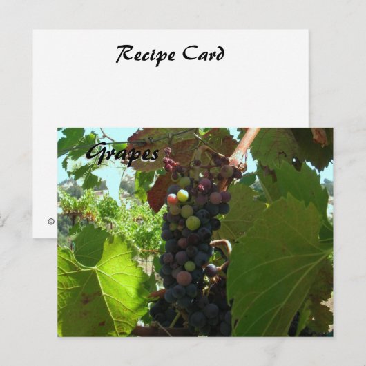 Rezept Card - Trauben im Reben Postkarte (Vorne/Hinten)