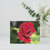 Rezept-Karte Chocolate Chip Erdnuss Butter Cookie Postkarte (Stehend Vorderseite)