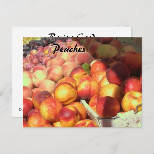 Rezept-Karte - Pfirsiche Postkarte (Vorne/Hinten)