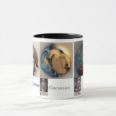 Rfalconcam EimerPics 2015 Tasse (Zentrum)