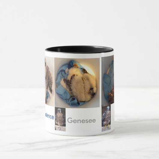 Rfalconcam EimerPics 2015 Tasse (Zentrum)