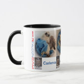 Rfalconcam EimerPics 2015 Tasse (Links)