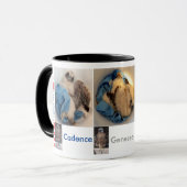 Rfalconcam EimerPics 2015 Tasse (Vorderseite Links)