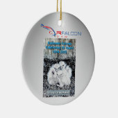 Rfalconcam-ROC Falken 25 Jahre Ornament (Rechts)