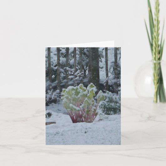 Rhabarber im Schnee Karte (Vorderseite)