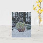 Rhabarber im Schnee Karte (Gelbe Blume)