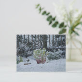 Rhabarber im Schnee Postkarte (Stehend Vorderseite)