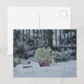 Rhabarber im Schnee Postkarte (Vorne/Hinten)