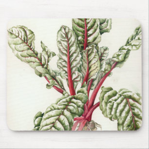 Rhabarber-Mangoldgemüse 1992 Mousepad