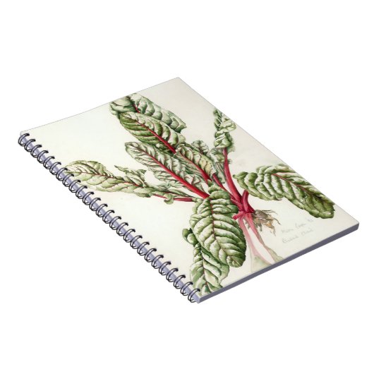 Rhabarber-Mangoldgemüse 1992 Notizblock (Rechte Seite)