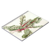 Rhabarber-Mangoldgemüse 1992 Notizblock (Linke Seite)