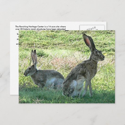 RHC Postkarte (Vorne/Hinten)