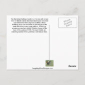 RHC Postkarte (Rückseite)