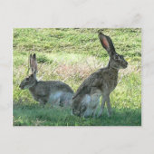 RHC Postkarte (Vorderseite)